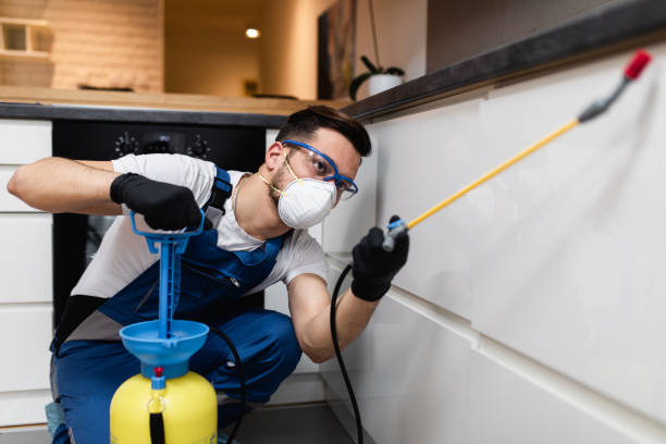 Best Affordable Pest Control Services  in Harbor Isle, NY