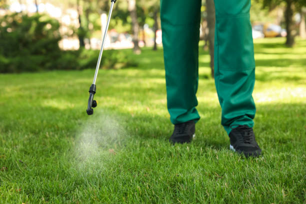 Professional Pest Control in Harbor Isle, NY