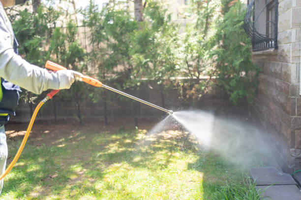 Best Commercial Pest Control Services  in Harbor Isle, NY