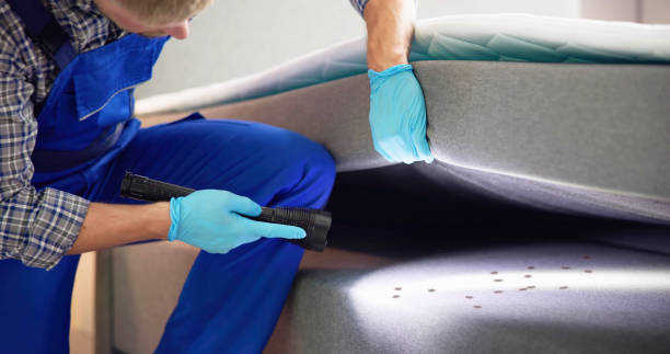 Best Best Pest Control Companies  in Harbor Isle, NY