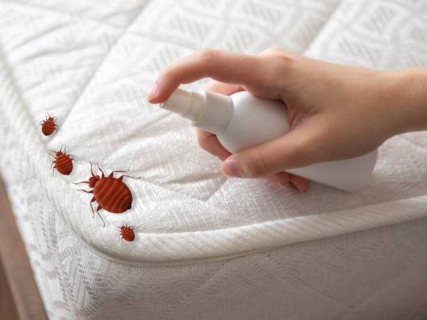 Best Residential Pest Control  in Harbor Isle, NY