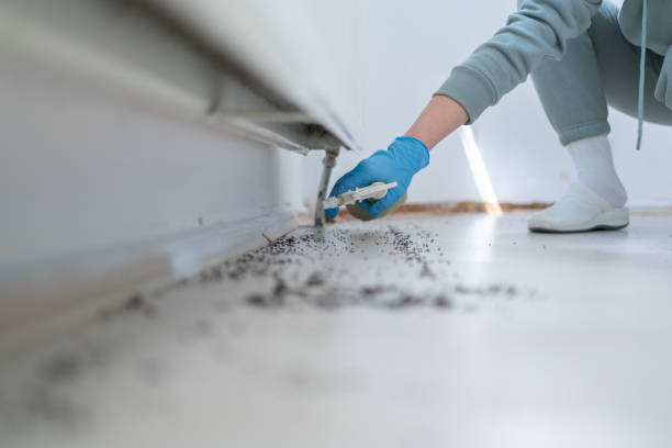 Best Exterminator Services  in Harbor Isle, NY